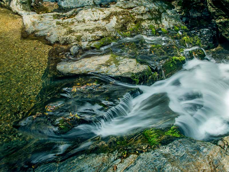 總氮測定的影響因素有哪些