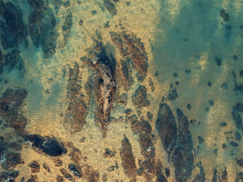 全自動(dòng)紅外測(cè)油儀原理(全自動(dòng)紅外測(cè)油儀使用注意事項(xiàng))