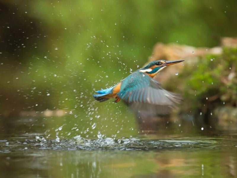 總氮測(cè)定儀工作原理(總氮測(cè)定儀使用方法)