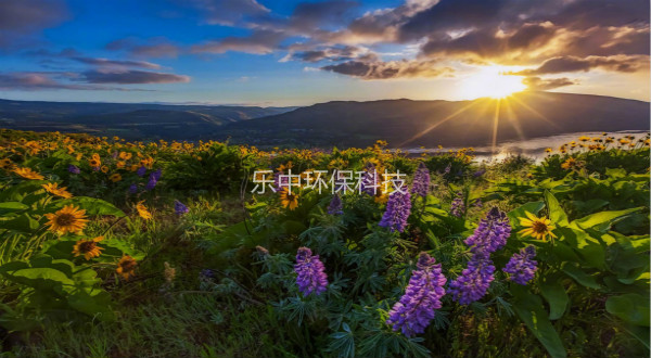 污水處理廠活性污泥法日常管理中，需要監(jiān)測(cè)與注意的參數(shù)-樂(lè)中環(huán)保