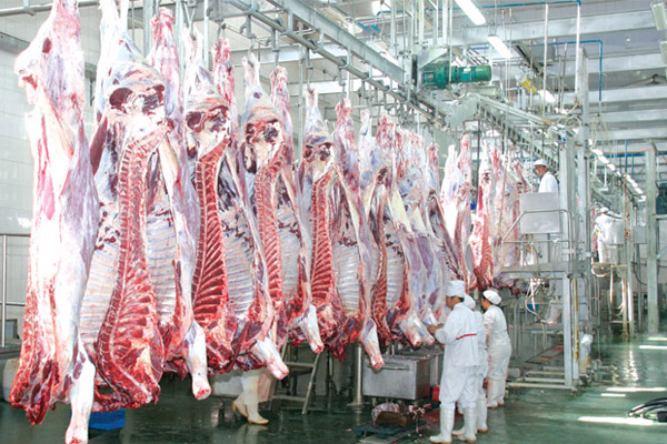 屠宰廢水處理方法有哪些？屠宰廢水處理設(shè)備價(jià)格分享