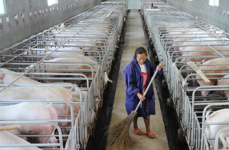 畜牧污水處理設(shè)備哪家好，養(yǎng)殖污水處理設(shè)備哪家好