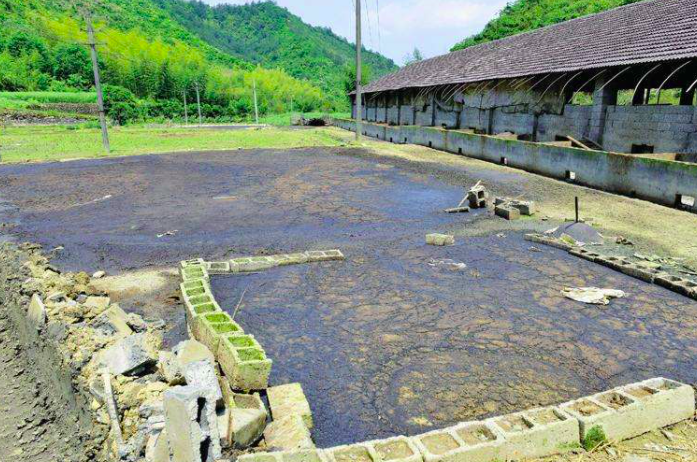 養(yǎng)豬污水變清水最快方法，養(yǎng)豬場(chǎng)污水處理方法有哪些-樂(lè)中環(huán)保