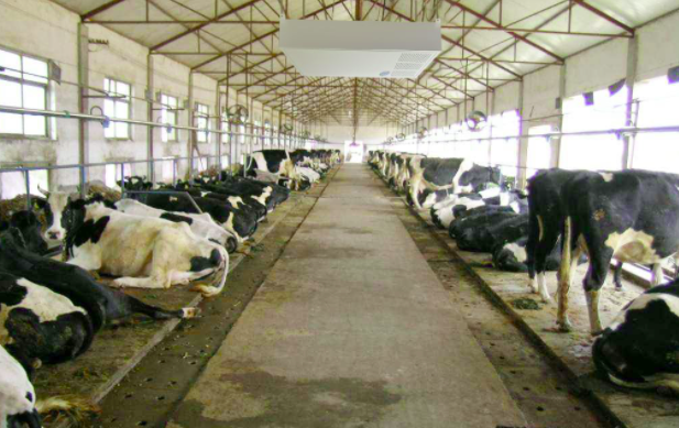 養(yǎng)殖屠宰污水處理設備使用前，要注意這兩點！01