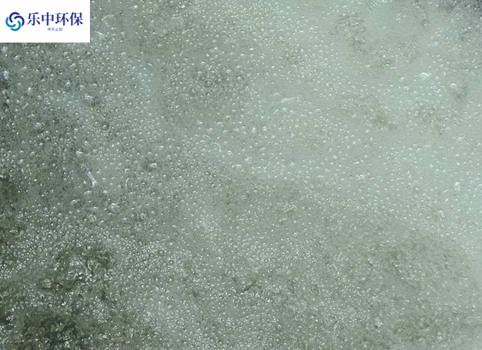 溶氣氣浮機(jī)泡沫多什么原因？如何解決？