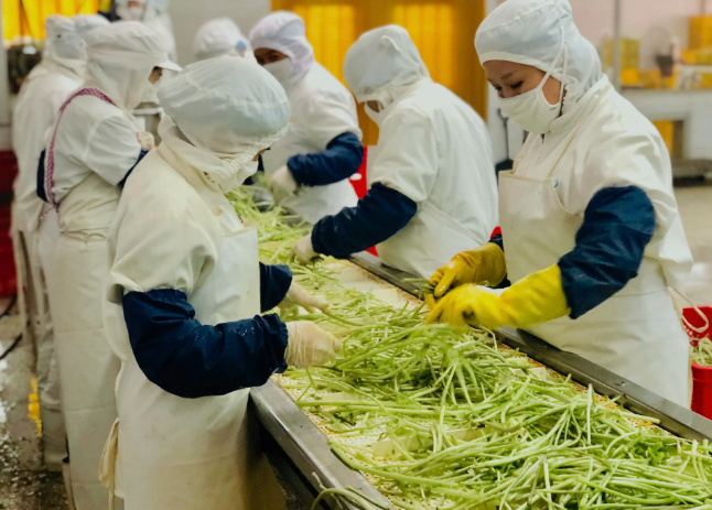 三種食品污水處理設備工藝流程，看看哪種適合您？