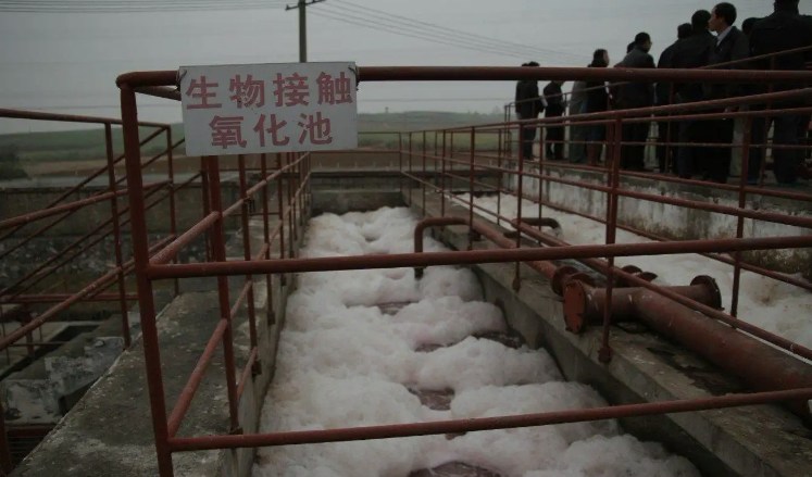 生物接觸氧化池的作用是什么？（生物接觸氧化池去除什么）-01
