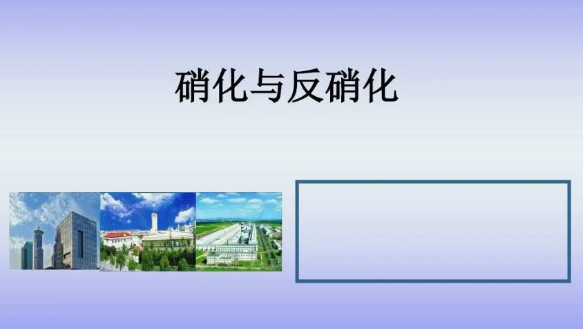硝化反硝化過(guò)程原理介紹(反硝化和硝化的區(qū)別宰哪里) 硝化反硝化過(guò)程原理介紹(反硝化和硝化的區(qū)別宰哪里)