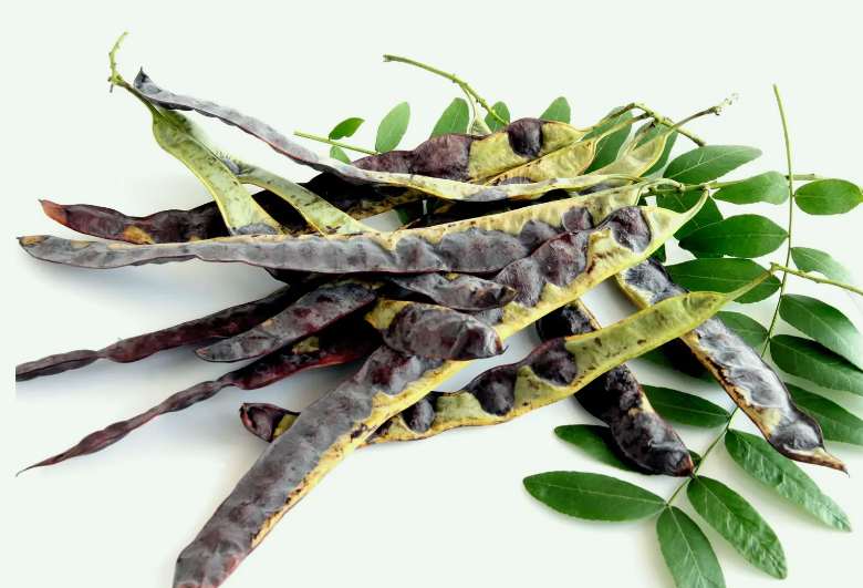 皂腳和皂角的區(qū)別是什么（皂腳和皂角一樣嗎？）