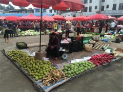 食品安全檢測(cè)儀能檢測(cè)什么食品？