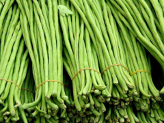 豆角中含有滅蠅胺？怎么解決？